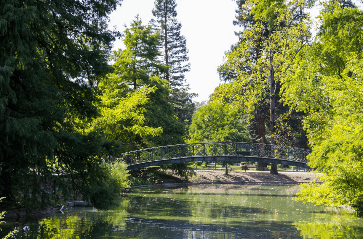 Le Parc Bordelais
