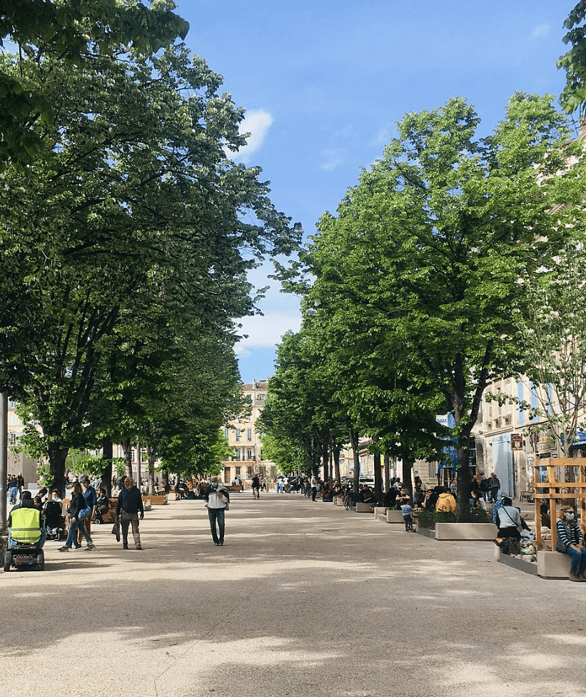 Promenade Est de la Place Jean Jaurès, dans le centre-ville de Marseille. Des gens sont assis, d'autres se promènent à pied ou à vélo, les arbres sont verts et le ciel bleu presque sans nuages.