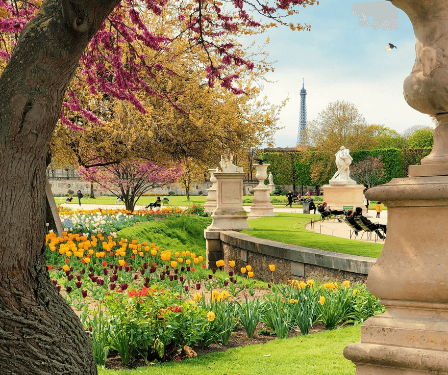 Jardin des Tuileries à Paris avec parterre de tulipes, statues classiques et vue sur la tour Eiffel au printemps.